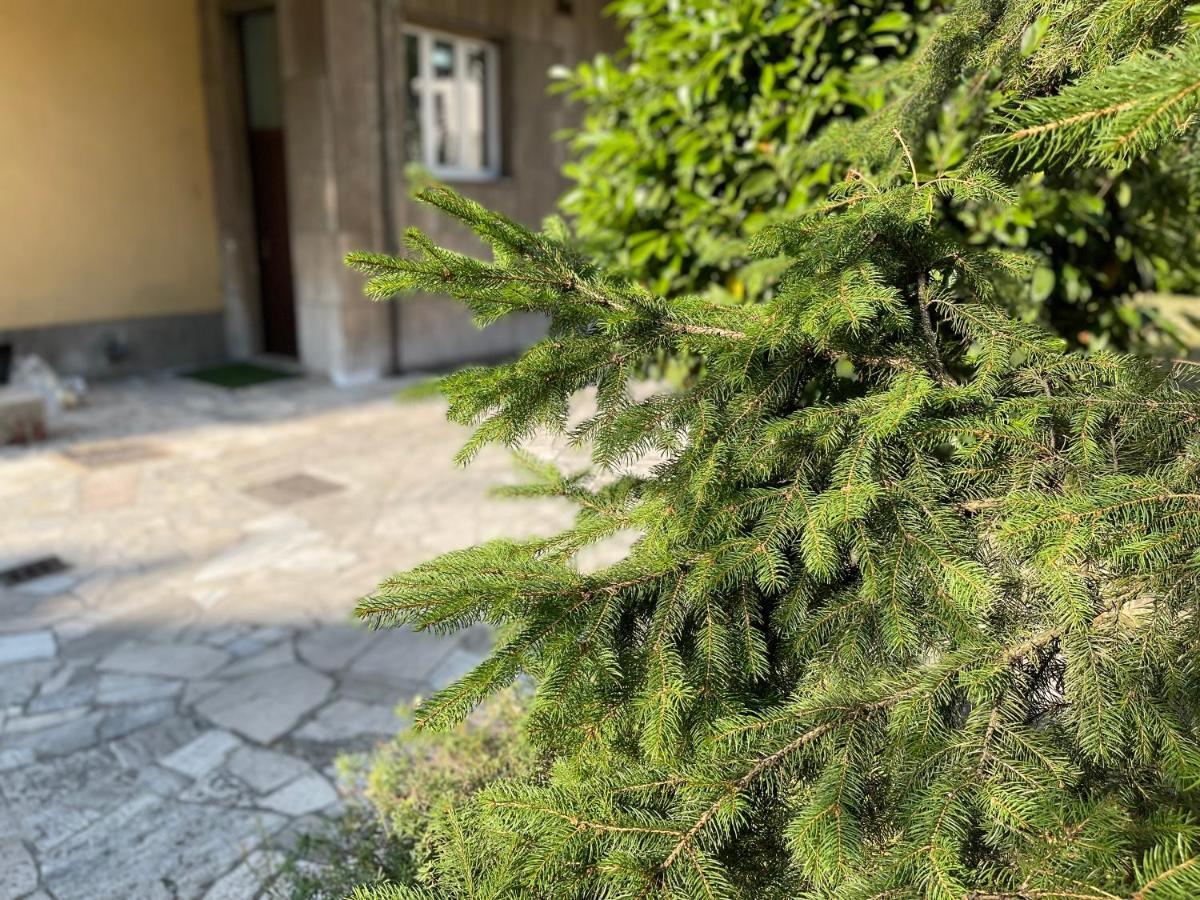 Affitti Brevi Caterina 2 Apartment Sesto San Giovanni Ngoại thất bức ảnh